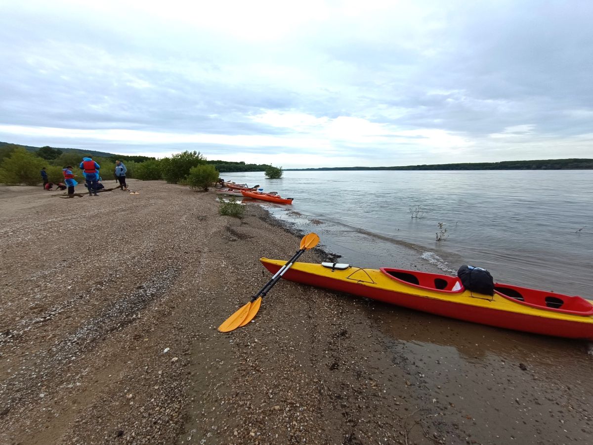 Успешно премина регатата Янтра-Дунав